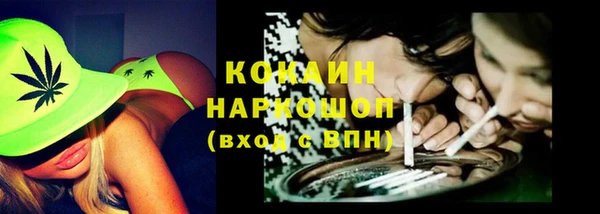 шишки Сосновка