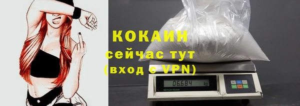 стаф Сосновоборск