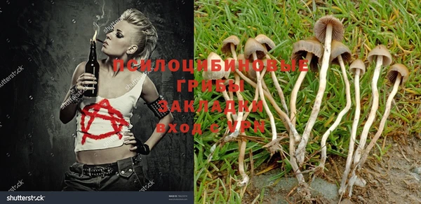 MDMA Premium VHQ Алзамай
