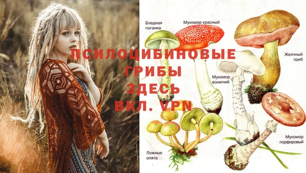 MDMA Premium VHQ Алзамай