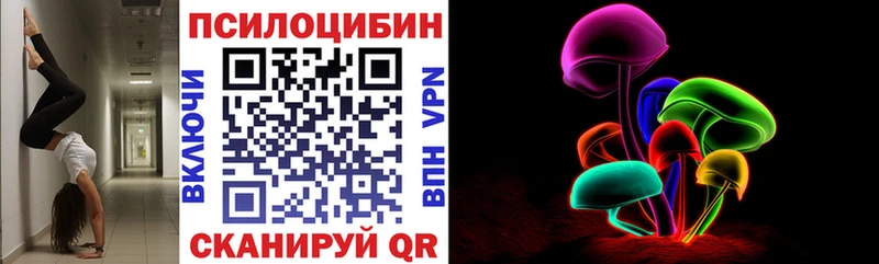 где продают наркотики  kraken tor  Галлюциногенные грибы мицелий  Амурск 
