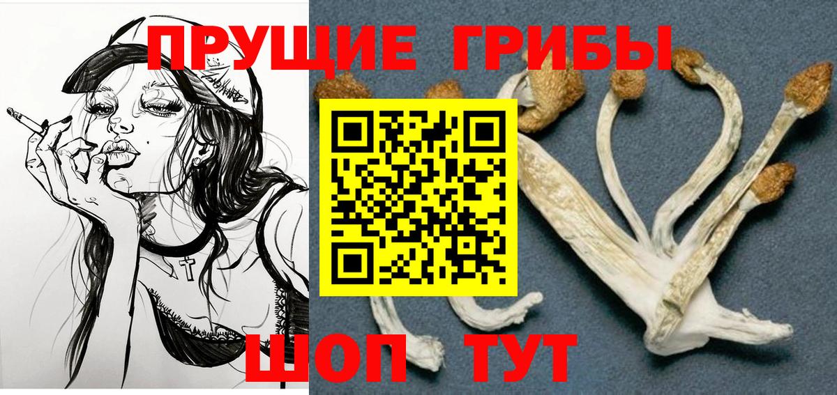 Галлюциногенные грибы ЛСД Амурск