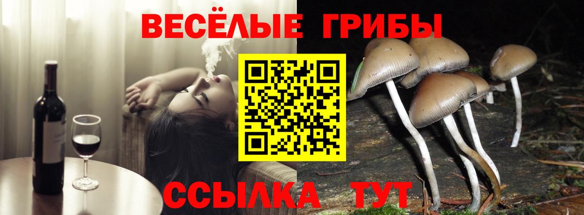 Псилоцибиновые грибы мухоморы  Вход с VPN  Амурск  Галлюциногенные грибы Psilocybe 