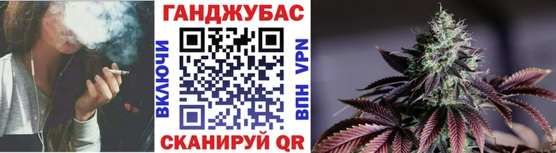 Бошки Шишки план мега Амурск